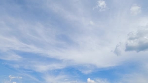 空を覆う驚くべき光の流れ雲 柔らかいふわふわの小さな雲が過去を飛んでいる 低角度のタイムラプス — ストック動画