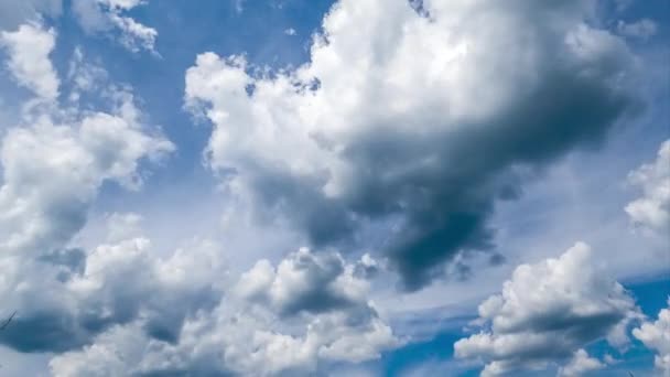 密集した雲の背景に変化するふわふわした雲 カミュラス雲と大気のスピンドリフト雲 — ストック動画