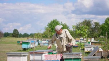 Apiarist çerçeveyi metal aletin yardımıyla kaldırıyor. Adam arıları korkutmak için sigara içiyor. Doğa zemin.