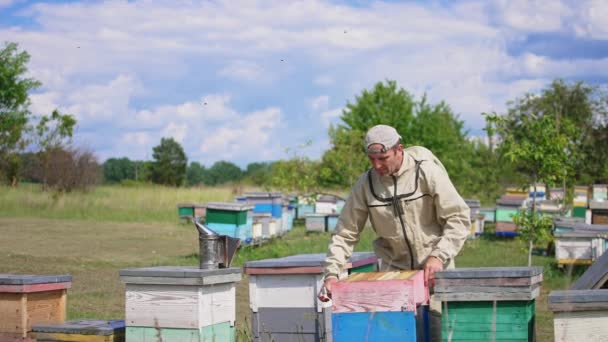 养蜂人用框架架起蜂房 再打开另一个蜂房 养蜂人在蜂房里使用了烟雾弹和金属工具 — 图库视频影像