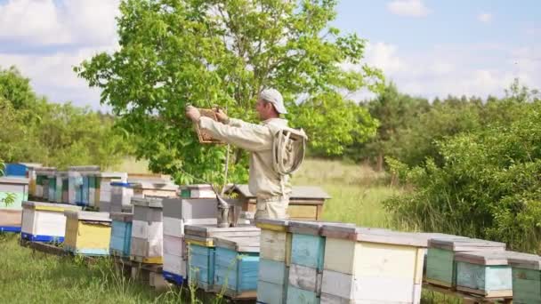 男性の大人の養蜂家は 彼の手のフレームを注意深く見ています 自然の背景にある農村の養蜂家 — ストック動画