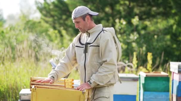 Μεσήλικας Γενειοφόρος Που Δουλεύει Στη Φάρμα Μελισσών Μελισσοκόμος Βάζει Πλαίσια — Αρχείο Βίντεο