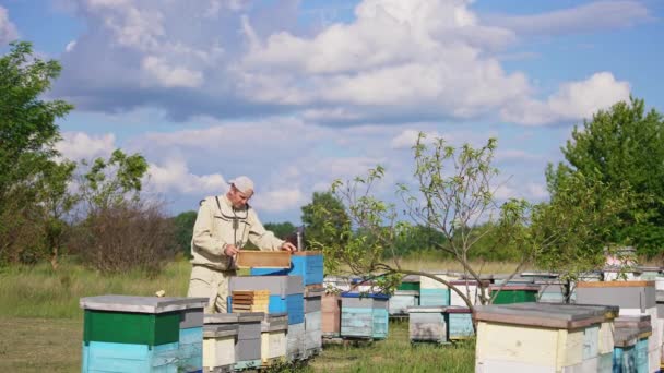 勤劳的算命师把蜂窝里的框架从蜂窝里拿出来 抖掉坐在蜂窝上的蜜蜂 人把框架堆在蜂房附近 自然背景 — 图库视频影像