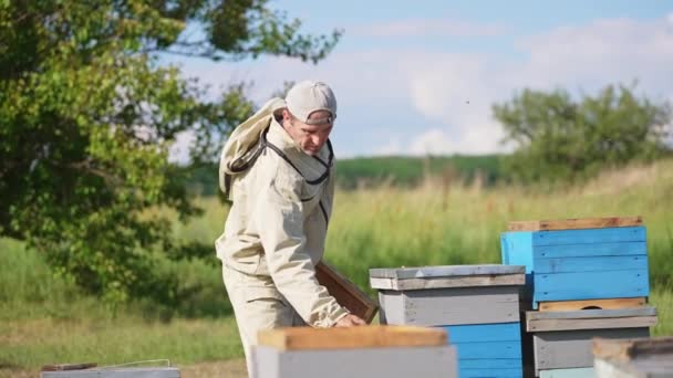 Férfi Méhész Dohányozót Kefét Használ Méhészetben Végzett Munkájához Méhek Méztermés — Stock videók