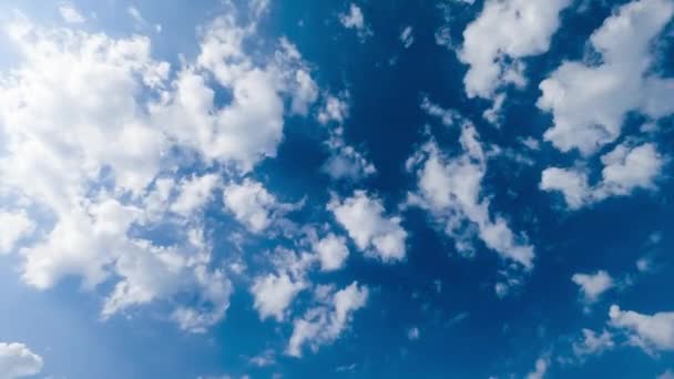 Lichtwitte Wolken Verspreiden Zich Langs Blauwe Luchten Mooie Katoenen Wolken — Stockvideo