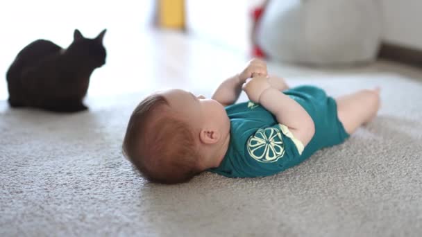 穏やかな赤ん坊は床に横たわっています 子供の近くに座っている黒猫 バックグラウンド — ストック動画