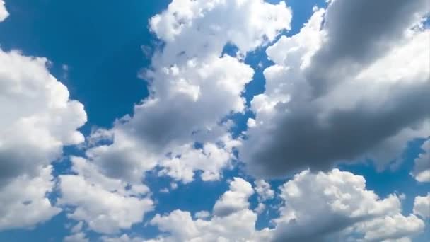 Biały Puszysty Budynek Chmur Niebie Chmury Zbierają Się Letnim Horyzoncie — Wideo stockowe