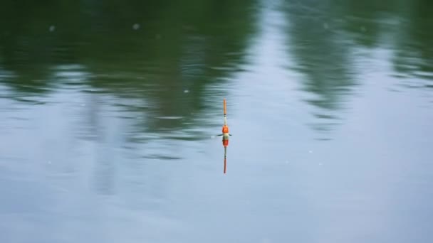 Weiße Und Orangefarbene Fischerbobber Die Fluss Schwimmen Unbewegliches Schweben Auf — Stockvideo