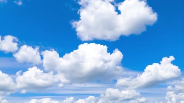Diferentes Tipos Nubes Que Mueven Horizonte Brillante Increíble Paisaje Nublado — Vídeos de Stock