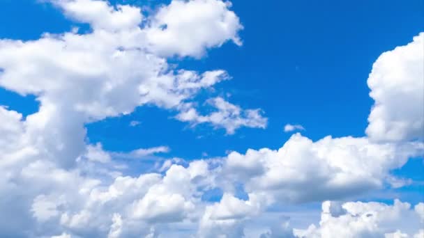 Небесно Красивые Кучевые Облака Преобразующиеся Голубом Небе Светлые Веретеновые Облака — стоковое видео