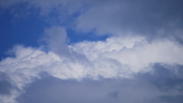 青空の巨大な累積雲の景色は驚くべきものでした 黒い鳥が地平線を飛んでいる — ストック動画