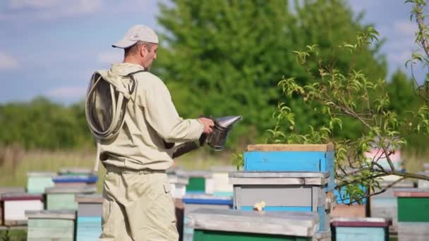 养蜂人抱着一个吸烟者和一把刷子走到他的蜂窝前 人类用工具打开蜂箱并抖落蜜蜂 — 图库视频影像