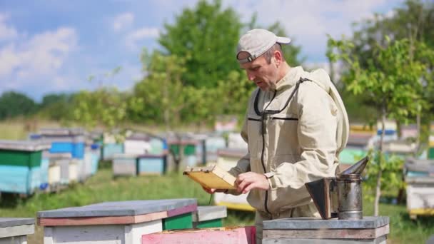 成年男性围观者把一个空的半框架从蜂窝里拖出来 男人满意地笑着 拿着另一个框架和蜜蜂放在蜂房里 — 图库视频影像
