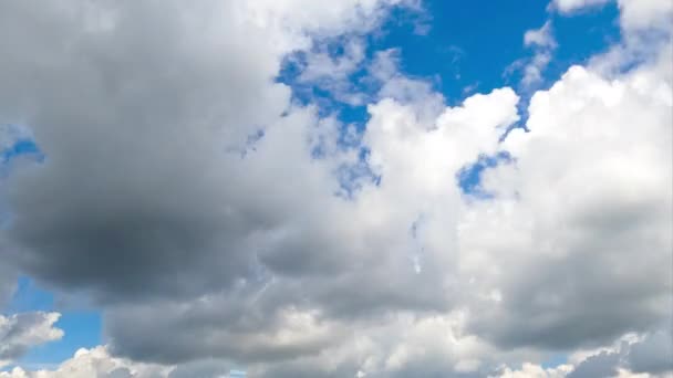 Avançando Entre Incríveis Nuvens Cumulus Nuvens Brancas Sob Luz Solar — Vídeo de Stock