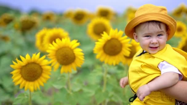 Sarı Elbiseli Panamalı Komik Çocuk Ayçiçeği Tarlasında Gözlerinin Önünde Çiçeğe — Stok video