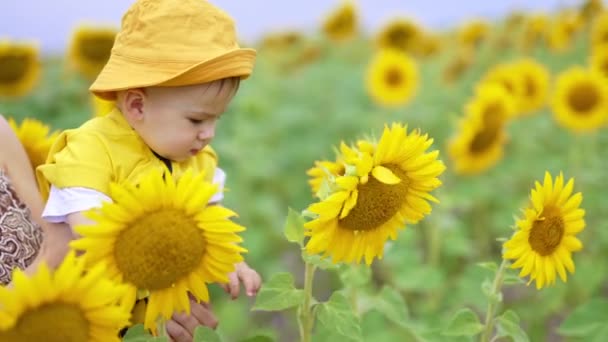 Tarım Tarlasında Annesinin Elinde Güzel Beyaz Bir Çocuk Sarı Panamalı — Stok video