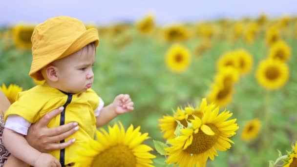 Słodkie Marszczenie Brwi Małe Dziecko Żółtej Panamie Patrząc Słoneczniki Mama — Wideo stockowe