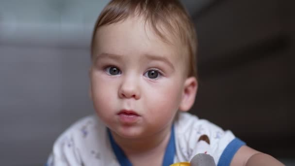 カメラを見ているかわいい灰色の赤ん坊の少年 美しいコーカサス人の子供の肖像画が近づいています ブラーレッド バックドロップ — ストック動画