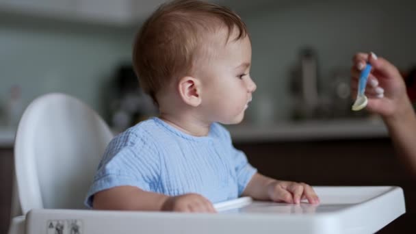 Adorable Niño Comiendo Gachas Cuchara Madre Cariñosa Dando Comida Hijo — Vídeo de stock