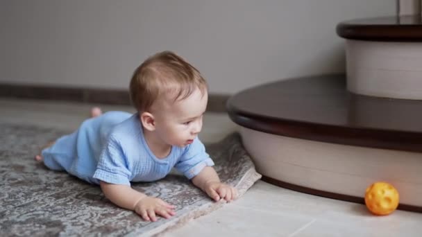 屋内で床を這う甘い愛らしい赤ん坊の少年 ボールにたどり着こうとする健全な子供 おもちゃで遊んでいる小さな子供 — ストック動画