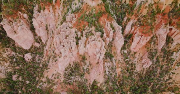 Sakta Ner Över Bryce Canyons Enorma Klippor Utah Usa Små — Stockvideo