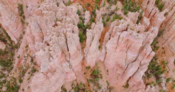 美国犹他州布莱斯峡谷奇异岩石的迷人风景 高山和被松树覆盖的土地 顶部视图 — 图库视频影像