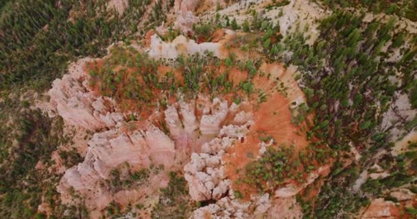 峡谷中奇异的岩石上生长着松树 从空中看犹他州布莱斯国家公园 — 图库视频影像