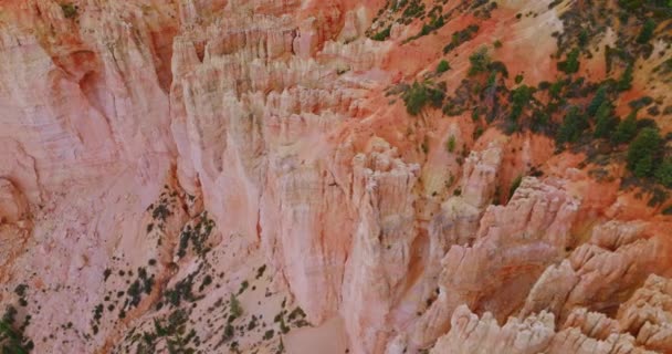 Удивительные Скалистые Колонны Брайс Каньонов Днем Зеленые Сосны Мох Растут — стоковое видео