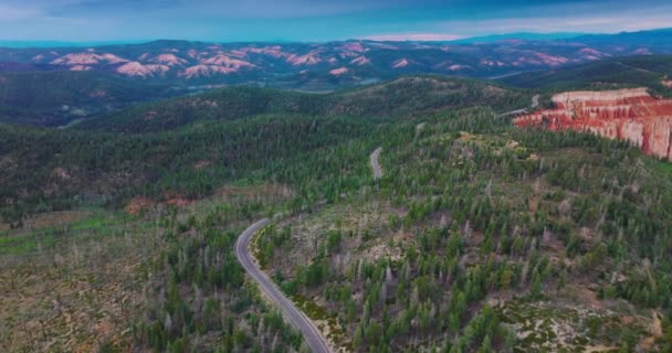 Die Wellige Autobahn Führt Durch Kiefernwälder Die Die Berge Bedecken — Stockvideo