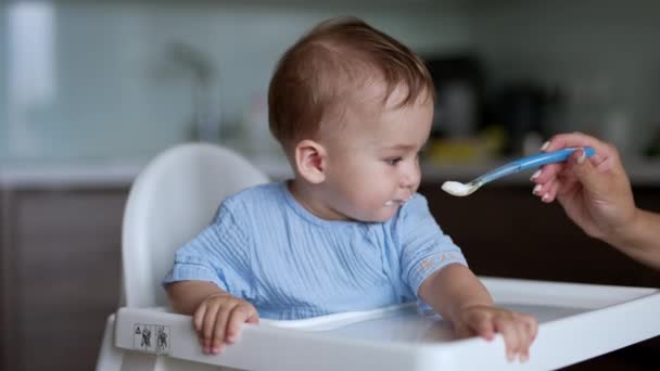 Sevimli Küçük Çocuk Kaşıkla Besleniyor Şirin Güzel Bebek Yemeği Alır — Stok video