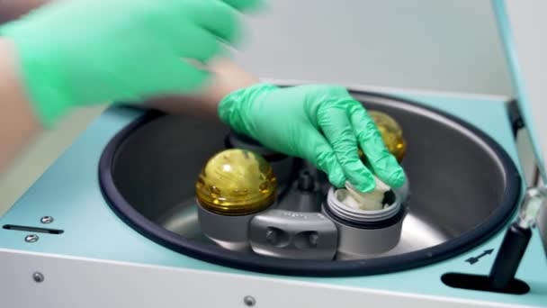 Fyllningsbehållare Centrifug Med Provrör Som Täckta Latexhandskar Sjuksköterskans Händer Gröna — Stockvideo