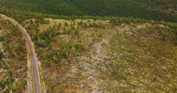 Zielony Las Sosnowy Pokrywający Skalisty Krajobraz Drone Schodzący Gołej Ziemi — Wideo stockowe