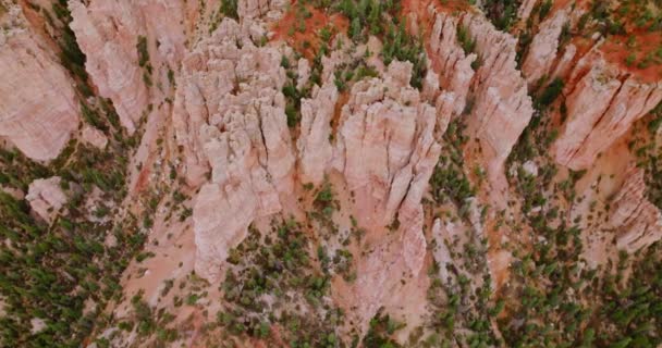 Національний Парк Брайс Каньйон Дивовижні Скелі Вдень Численні Сосни Ростуть — стокове відео