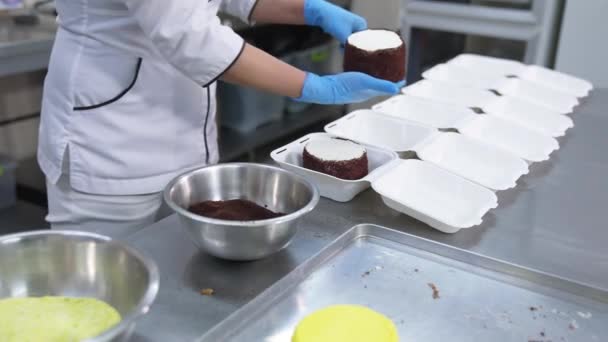 Tårtproduktion Livsmedelsfabriken Confectioner Lägger Små Kakorna Individuella Förpackningar — Stockvideo