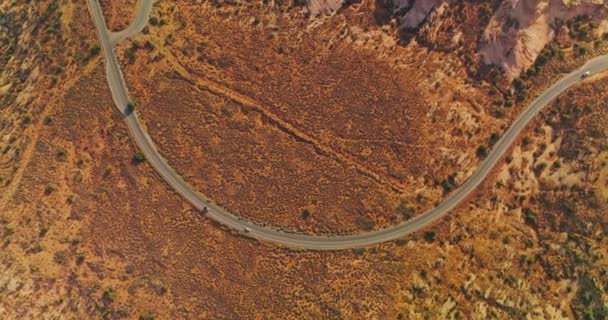 Camino Curvilíneo Través Desierto Cerca Las Rocas Raras Imágenes Aviones — Vídeo de stock