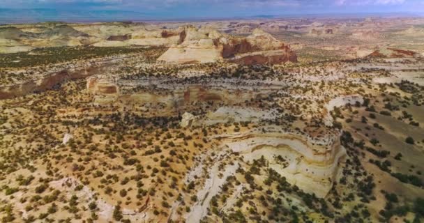Paisaje Rocoso Interminable Desierto Con Pequeños Arbustos Vegetación Increíbles Cañones — Vídeos de Stock