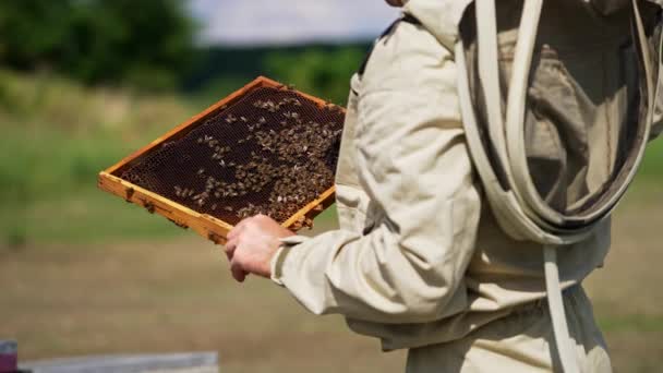 Beekeeper Protective Suit Holds Dark Wax Frame Man Touches Wax — Stock Video