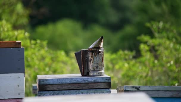 古い金属製の喫煙者は そこから煙が出るが 巣の上に立っている 農業のための器具 バックドロップでぼやけた緑の自然 — ストック動画