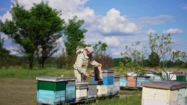 Пчеловод Очищает Медовую Раму Пчел Большой Щеткой Маленькая Сельская Ферма — стоковое видео