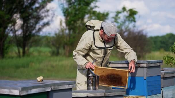 勤劳的成年男子在养蜂场工作 养蜂人把蜜蜂抖落到木蜂窝里 模糊的自然背景 — 图库视频影像