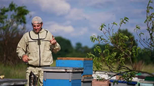 白人成年男子在农村工作 在大自然的背景下工作 养蜂人用工具检查框架 — 图库视频影像