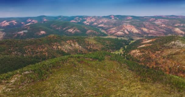 Voando Acima Incrível Paisagem Montanhosa Coberta Florestas Pinheiros Bela Paisagem — Vídeo de Stock
