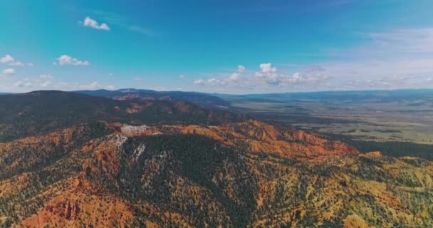 Nádherná Malebná Krajina Hor Pokrytá Borovicemi Úžasná Modrá Obloha Nad — Stock video