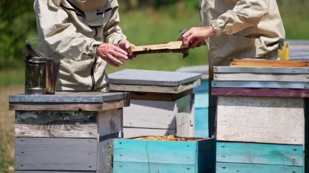 那些穿着防护服的身份不明的人检查着车架 然后用手转动它 养蜂人在养蜂场用工具干活 模糊的背景 — 图库视频影像