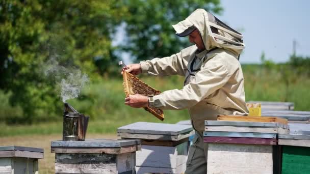 雄性养蜂人从蜂房中小心地抽出一个框架 仔细地看着它 下一个蜂窝里有一个冒出浓烟的吸烟者 模糊的自然背景 — 图库视频影像