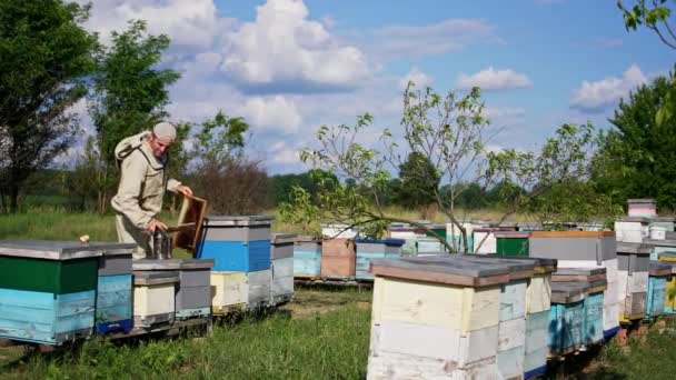 農村の有機農場で働いている大人の男性養蜂家 彼の作品で農具を使っている男 自然の背景 — ストック動画