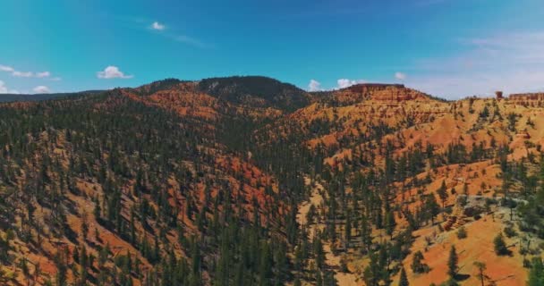 Let Přes Oranžové Hory Pokryté Řídkým Borovým Lesem Krásné Kaňony — Stock video