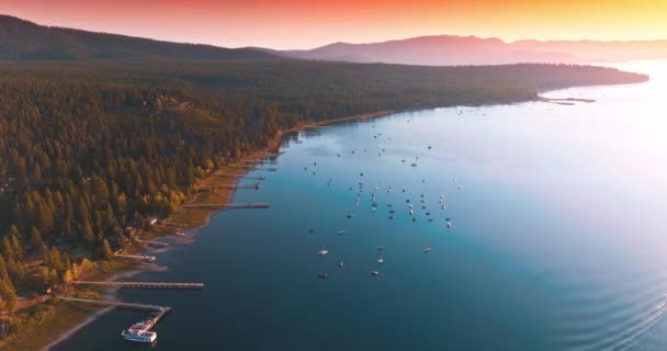 Gün Batımında Görkemli Tahoe Gölü Kıyısında Suda Yüzen Çok Sayıda — Stok video