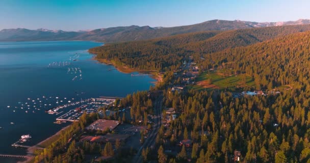 Tahoe Gölü Kıyısında Yoğun Çam Ağacı Ormanlarıyla Çevrili Havadan Bakıldığında — Stok video