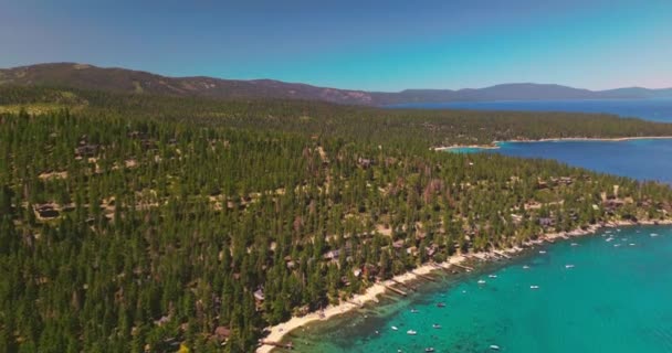 厚い松の木の森の素晴らしい自然の風景 木々に囲まれた民家 山々に囲まれた青い湖 トップビュー — ストック動画